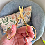 Devon Scissors