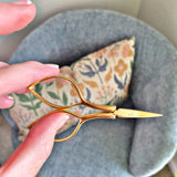 Devon Scissors