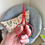 Devon Scissors