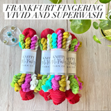 Christmas 2025 Yarn Set