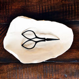 Devon Scissors